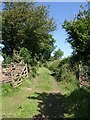 Green lane near East Charleton