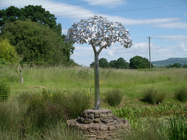 Millennium Tree © Martin Horwood cc-by-sa/2.0 :: Geograph Britain and ...