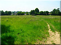 Footpath to Worlds End