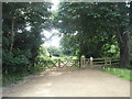 Start of footpath from Barnham Court to Hoe Farm