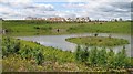 Bogburn Flood Lagoons