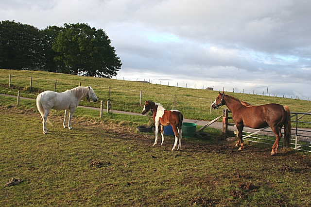 Family at Lochs Farm