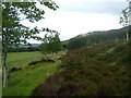 Approaching Drumchall Cottage