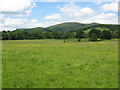 Fields near Colwall