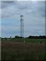 Mobile Phone Mast