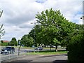 Roundabout at Kelso Street and Alderman Road