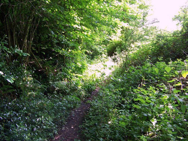 Overgrown footpath near Dinton © Maigheach-gheal cc-by-sa/2.0 ...