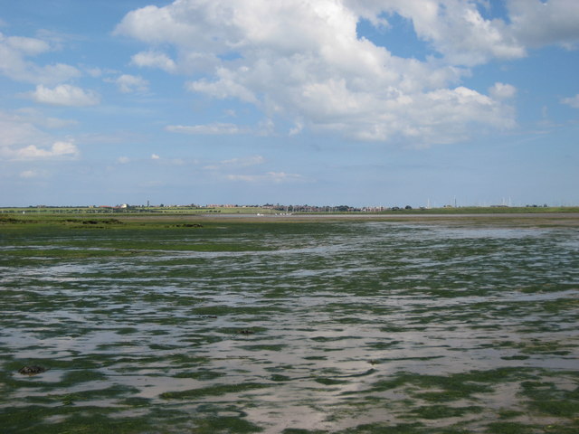 Looking back across The Wade at low tide