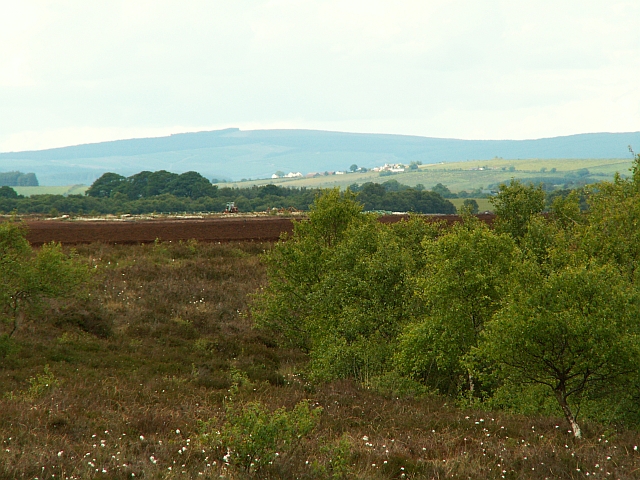 South-western part of Bolton Fell