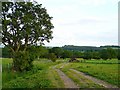 NY5363 : Farmland at Dovecote by Rose and Trev Clough