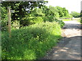 Bridleway to Jaspers Farm, Grafton Flyford