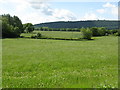 Meadows at Lower Kinsham