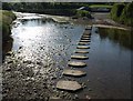 Stepping stones, South Pool