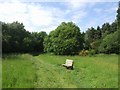 Disused railway on Brownhills Common