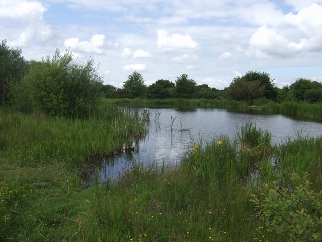 Pool on Pelsall Common © John M cc-by-sa/2.0 :: Geograph Britain and ...