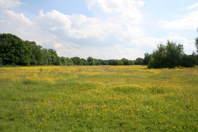 Burbage Common © Kate Jewell cc-by-sa/2.0 :: Geograph Britain and Ireland