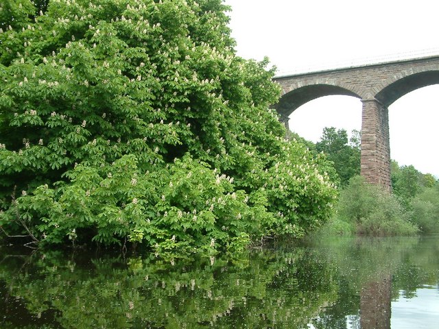Old Railway Bridge over the River Till