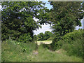 Footpath to the church