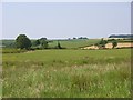 Farmland, Broadmayne