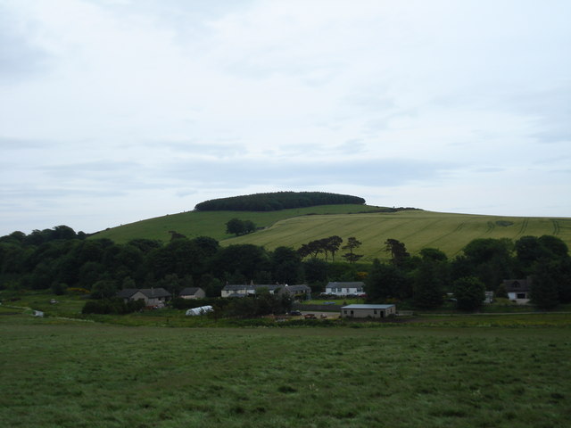 Carding Hill