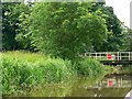 SD9949 : Bridge 181, Leeds and Liverpool canal, Skipton by Brian Robert Marshall