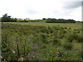 Ballaghmore Townland