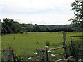 Pasture at Suckley Green