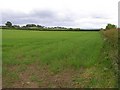 Kirkhills Townland