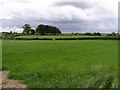 Ballyrobin Townland