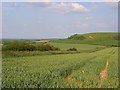 Farmland, West Chaldon