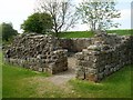 NY5764 : Banks East Turret, Hadrian's Wall. by ANDY RAMMY