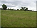 Inisinagh Townland