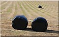 Wrapped hay bales. Higher Wraxall