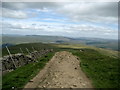 SD7382 : Ridge Path on Whernside by Chris Heaton