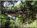 Ford and bridge, River Fowey