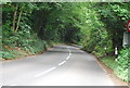 Barden Rd through Speldhurst Woods