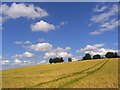 Farmland, Cookham Dean