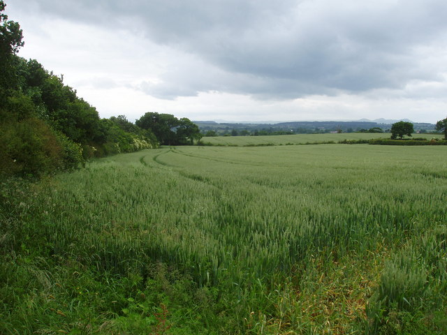 Rural North Shropshire