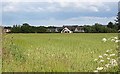 Bogmoor from the Speyside Way