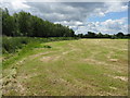 Mown field next to the Severn