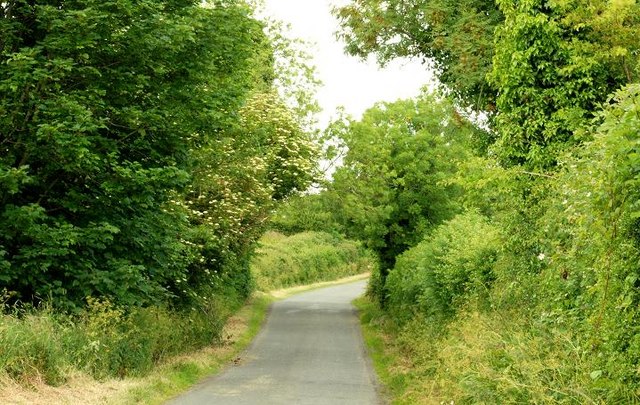 The Drumgiven Road near Ballynahinch