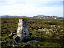 NY8224 : Mickle Fell trig by Rob Woodall