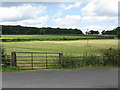 Fields by the Bowling Green Inn