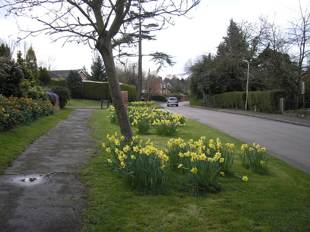 Church Road in spring