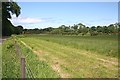 Silage Field