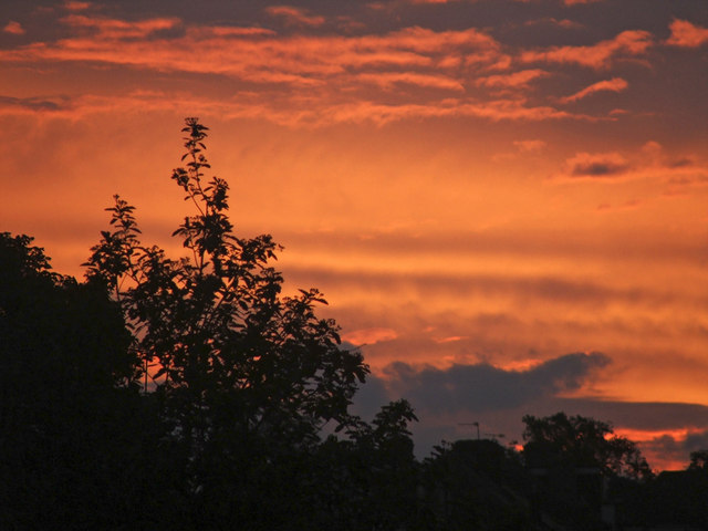 Sunset, Oakwood, London N14