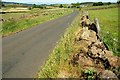 The Ballyvaddy Road near The Sheddings