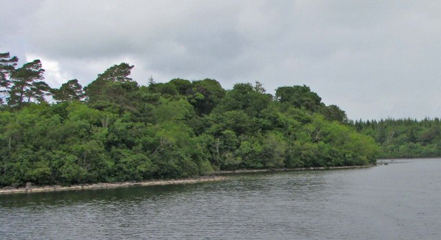 Shoreline of a portion of northeastern Lough Corrib