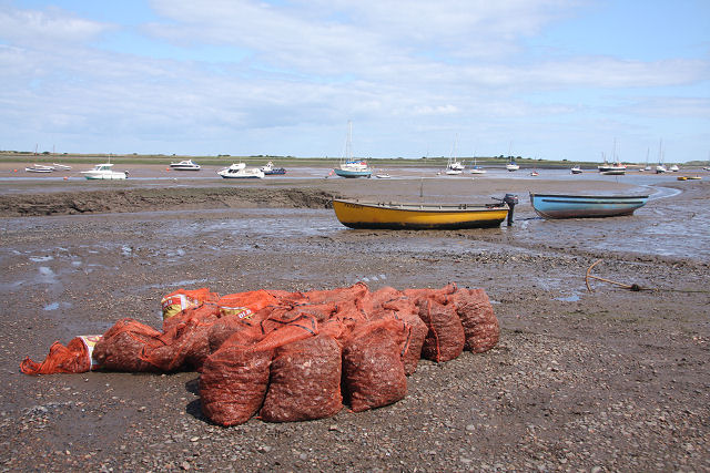 Bags of mussels