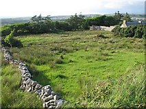 M0900 : Grassy field, farmhouse and drystone dyke by C Michael Hogan